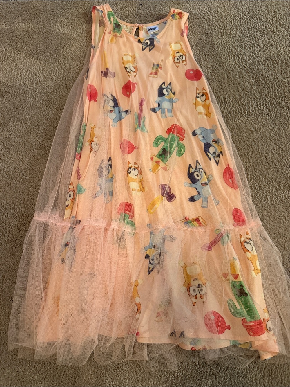 Bluey Peach Tulle Party Dress for Kids